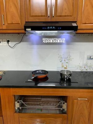 MÁY HÚT MÙI DMESTIK TL4870 DMK - 11 MÁY HÚT MÙI DMESTIK TL4870 DMK