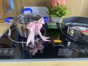 BẾP ĐIỆN TỪ CAO CẤP SEVILLA SV-189T