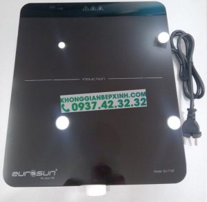 BẾP TỪ ĐƠN EUROSUN EU-T197