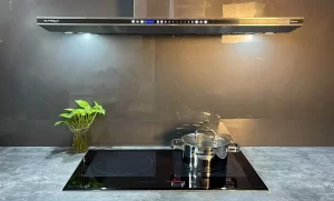 BẾP TỪ EUROSUN EU-T895GE