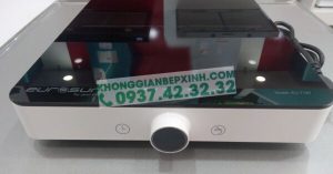 BẾP TỪ ĐƠN EUROSUN EU-T197