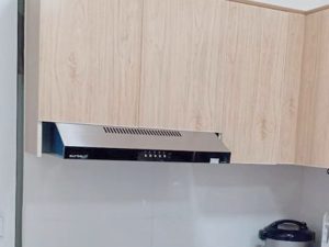 Máy Hút Mùi Eurosun EH-60CF19S