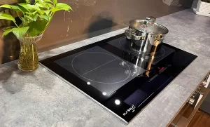 BẾP TỪ EUROSUN EU-T895GE