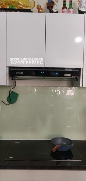 MÁY HÚT MÙI DMESTIK TL4870 DMK - 3 MÁY HÚT MÙI DMESTIK TL4870 DMK