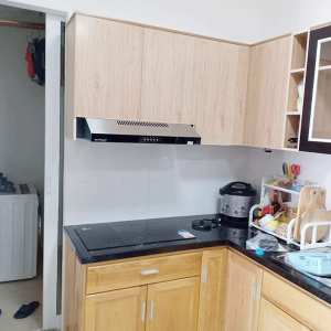 Máy Hút Mùi Eurosun EH-60CF19B