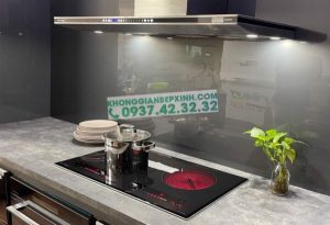 Bếp Điện Từ Eurosun EU-TE226 MAX