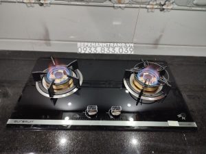 Bếp gas âm Eurosun EU-GA205S