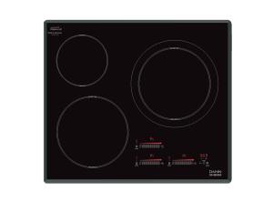 Bếp từ Dann DS-IB636X