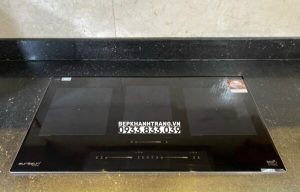 BẾP ĐIỆN TỪ EUROSUN EU-TE388MAX