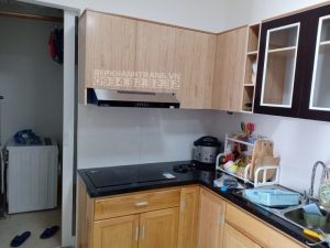 Máy Hút Mùi Eurosun EH-70CF19B