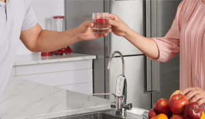 Lọc nước Cleansui EU301 - 45