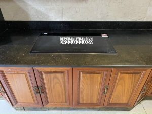 BẾP ĐIỆN TỪ EUROSUN EU-TE388MAX