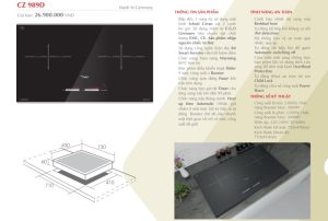 Bếp Từ Canzy CZ 989D - 2 Bếp từ Canzy CZ 989D