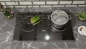 Bếp Từ Canzy CZ TL67A - 6 Bếp Từ Canzy CZ TL67A