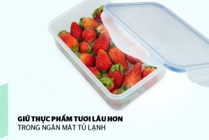 Bộ 4 hộp bảo quản thực phẩm Biozone tặng dao KB-CO4P04E - 22 Bộ 4 hộp bảo quản thực phẩm Biozone tặng dao KB-CO4P04E - 21
