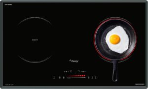 Bếp Điện Từ Canzy CZ TL67B - 2 Bếp Điện Từ Canzy CZ TL67B