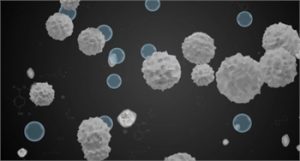 ROBOT HÚT BỤI LAU NHÀ HUBERT HB-B68-W - 21