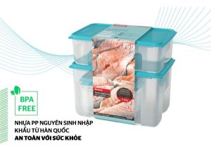BỘ 4 HỘP BẢO QUẢN THỰC PHẨM BIOZONE KB-ST4P01 - 19 BỘ 4 HỘP BẢO QUẢN THỰC PHẨM BIOZONE KB-ST4P01 - 18