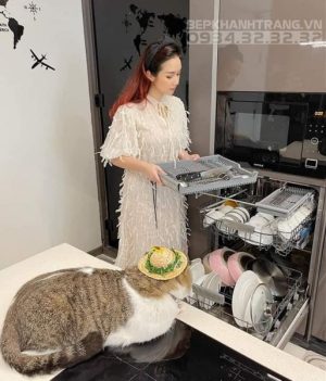 Máy Rửa Chén Âm Bán Phần Hafele Hdw-Hi45A, 10 Bộ Đồ Ăn, 45Cm 533.23.275 - 20 Máy Rửa Chén Âm Bán Phần Hafele Hdw-Hi45A, 10 Bộ Đồ Ăn, 45Cm 533.23.275 - 19