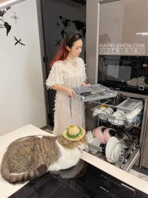 MÁY RỬA CHÉN ÂM BÁN PHẦN SMEG, THÉP KHÔNG GỈ, 13 BỘ ĐỒ ĂN, 60 CM PL3326TX 536.24.493 - 46