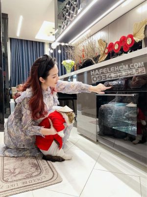 Lò nướng kết hợp hấp âm tủ 72 lít HSO-8T72A, Series 800, 538.61.461 - 40