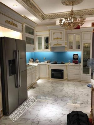 Tủ Lạnh Hafele Side-By-Side Hf-Sbsic 534.14.250 - 37