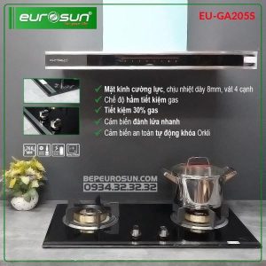 Bếp Gas > Bếp Gas Âm - 30