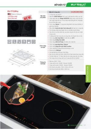 Bếp Từ Eurosun EU-T710 PRO Silver - 14