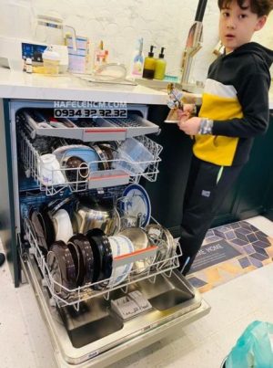 Máy Rửa Chén Độc Lập Hafele Hdw-F60E 538.21.200 - 180 Máy Rửa Chén Độc Lập Hafele Hdw-F60E 538.21.200 - 179