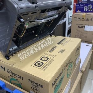 Bếp Gas Rinnai RJ-9600E(NHAT) - 127 Bếp Gas Rinnai RJ-9600E(NHAT) - 126