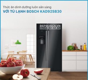 Tủ lạnh side by side BOSCH HMH.KAD92SB30|Serie 8 - 170