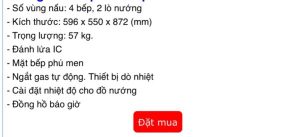 BẾP GA THÙNG RINNAI RSF-BM23 SP678 - 15 BẾP GA THÙNG RINNAI RSF-BM23 SP678 - 14