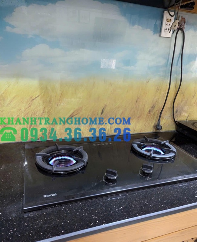 Bếp Gas Âm Rinnai RVB-2SCHI(SB) - 97