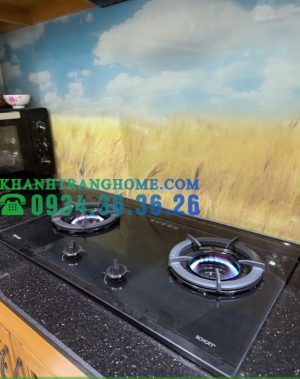 Bếp Gas Âm Rinnai RVB-2SCHI(SB) - 51