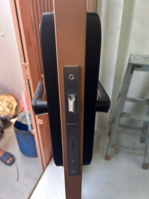 KHÓA CHỐNG NƯỚC DEMAX SL101 BL - APP WIFI