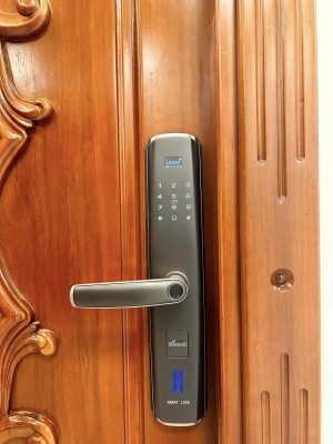 KHÓA THÔNG MINH DEMAX SL666 RM- APP WIFI