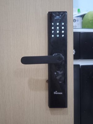 KHÓA VÂN TAY THÔNG MINH DEMAX SL638 BN