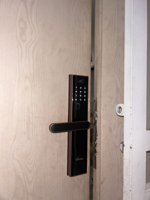 KHÓA VÂN TAY THÔNG MINH DEMAX SL638 PB