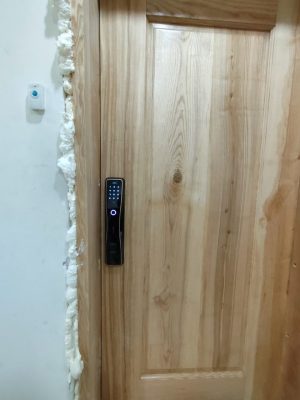 KHÓA CỬA VÂN TAY DEMAX SL668 BL