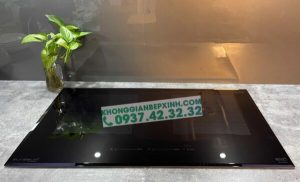 BẾP TỪ EUROSUN EU-T999G PREMIUM