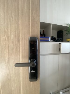 KHOÁ CỬA THÔNG MINH DEMAX SL768 BN