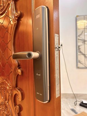 KHÓA THÔNG MINH DEMAX SL666 RM- APP WIFI