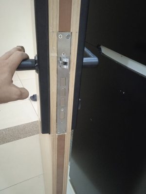 KHÓA VÂN TAY THÔNG MINH DEMAX SL638 BN