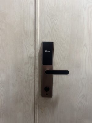 KHÓA VÂN TAY THÔNG MINH DEMAX SL638 PB