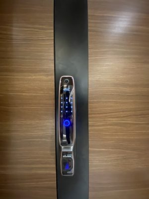 KHÓA THÔNG MINH DEMAX SL898 GC