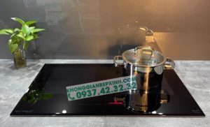 BẾP TỪ EUROSUN EU-T999G PREMIUM