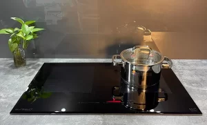 Bếp Từ Eurosun EU-T999G 2 Vùng Nấu