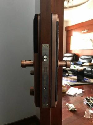 KHOÁ CỬA THÔNG MINH DEMAX SL768 AC