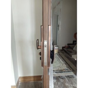 KHOÁ CỬA THÔNG MINH DEMAX SL828 AC