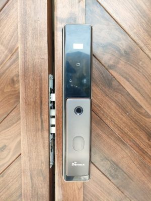 KHOÁ CỬA THÔNG MINH DEMAX SL828 GS